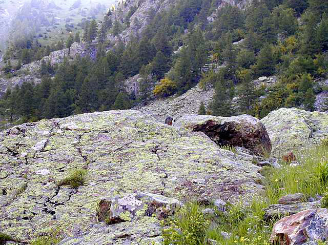 Marmotte#2