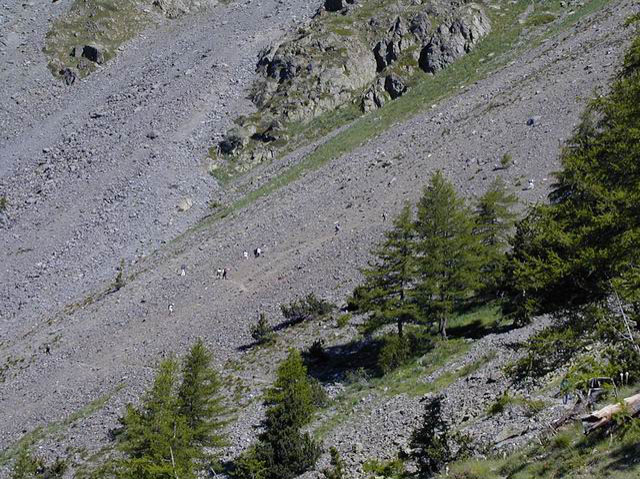 Montée_dans_un_pierré