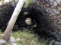 CombeMaougarideStJeannet-photo012