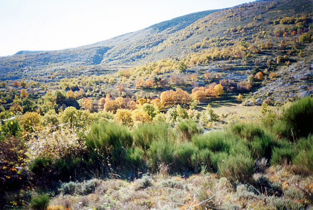 2002oct27-Gros-Pounch-00