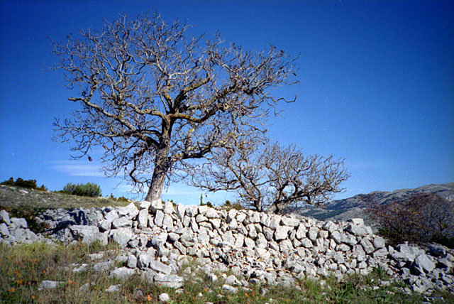 2002oct27-Gros-Pounch-02