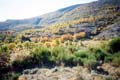 2002oct27-Gros-Pounch-00