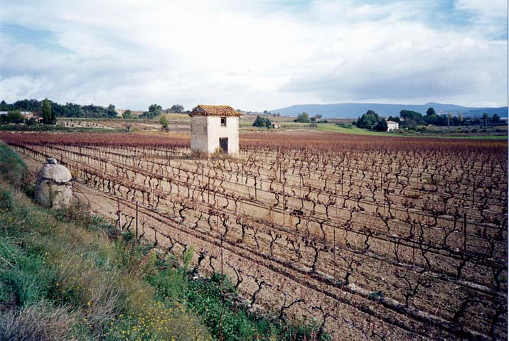 2002nov03-Marathon-Luberon04