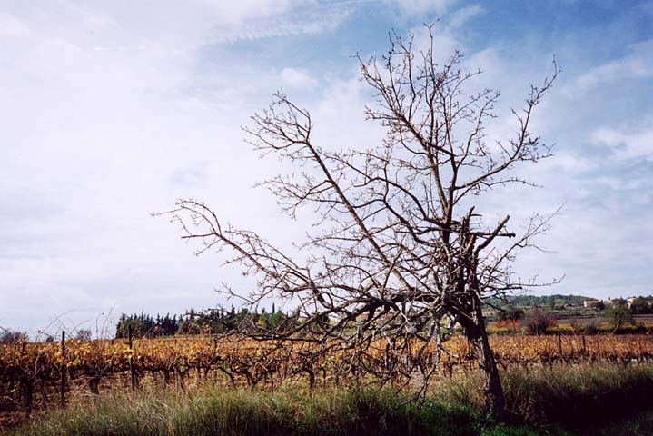 2002nov03-Marathon-Luberon05