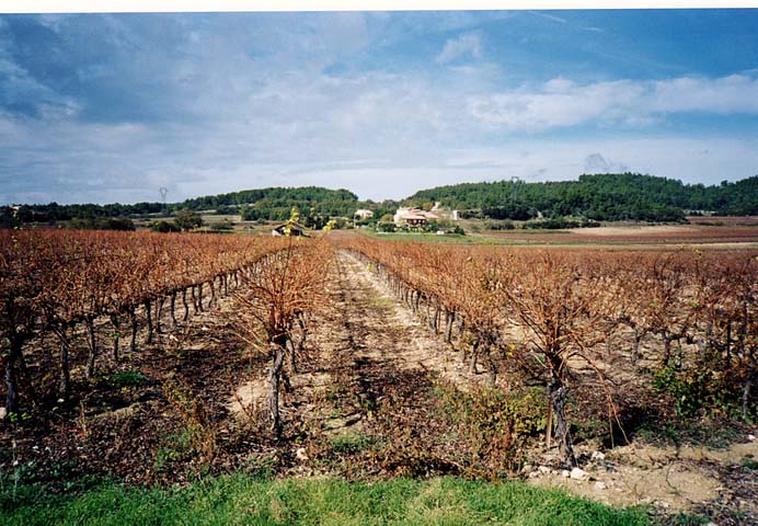 2002nov03-Marathon-Luberon06