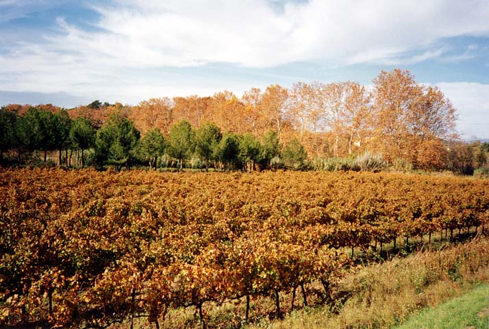 2002nov03-Marathon-Luberon08