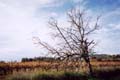 2002nov03-Marathon-Luberon05