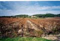 2002nov03-Marathon-Luberon06