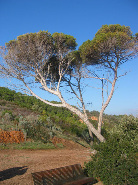 CapDramont_Photo001