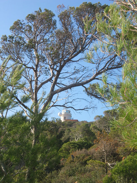 CapDramont_Photo012