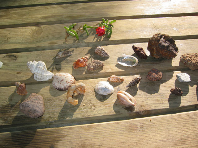 CapDramont_Photo027
