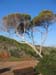 CapDramont_Photo001