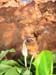 CapDramont_Photo007
