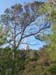 CapDramont_Photo012