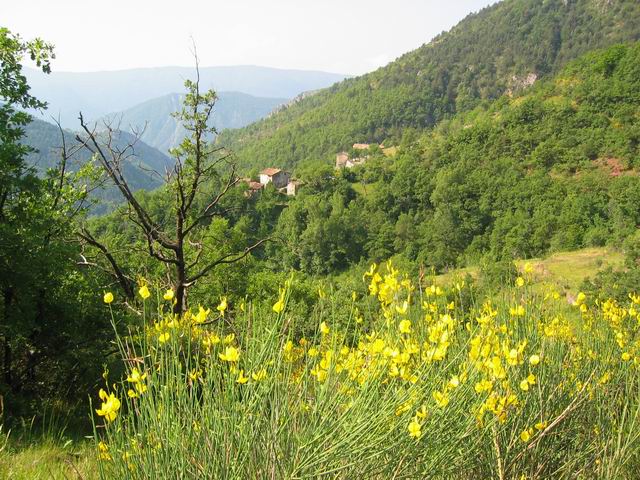 ColdeRoua_Photo003