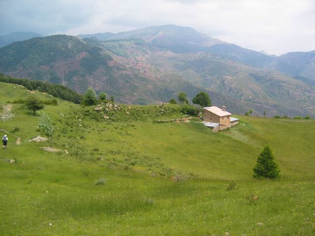 ColdeRoua_Photo031