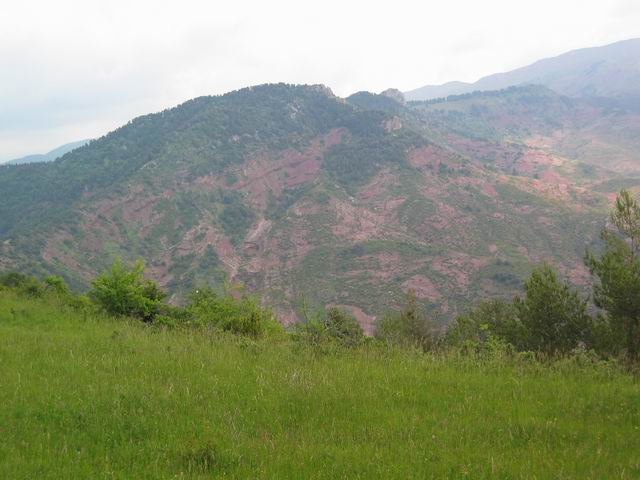 ColdeRoua_Photo033