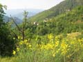 ColdeRoua_Photo003