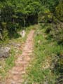 ColdeRoua_Photo005