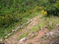ColdeRoua_Photo009