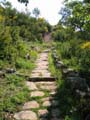 ColdeRoua_Photo011