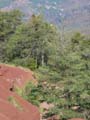 ColdeRoua_Photo028