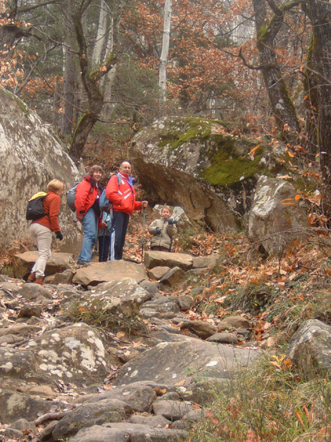 GresAnnot_Photo003