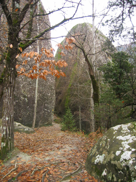 GresAnnot_Photo007