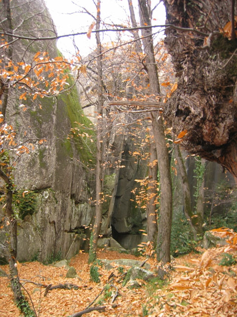 GresAnnot_Photo033
