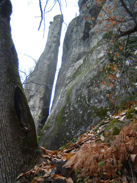 GresAnnot_Photo035