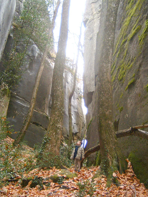 GresAnnot_Photo039
