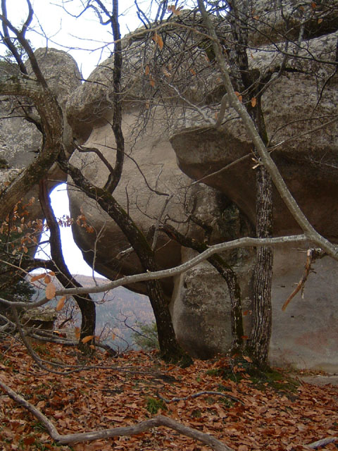 GresAnnot_Photo067