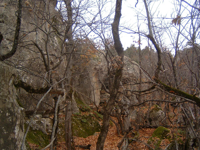 GresAnnot_Photo068