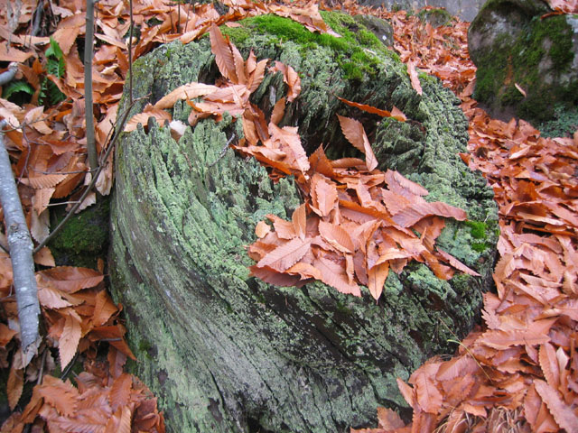 GresAnnot_Photo073
