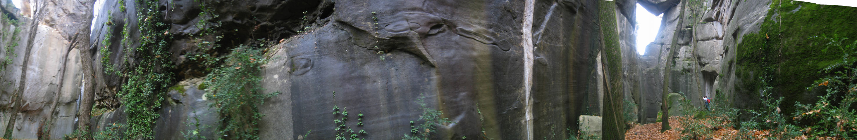 Pano_Jardin_du_Roi2