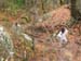 GresAnnot_Photo008
