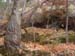 GresAnnot_Photo015