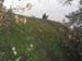GresAnnot_Photo018