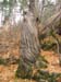 GresAnnot_Photo021