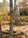 GresAnnot_Photo022