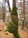 GresAnnot_Photo023