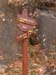 GresAnnot_Photo041