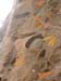 GresAnnot_Photo048