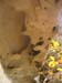 GresAnnot_Photo049