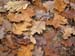 GresAnnot_Photo057