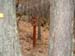 GresAnnot_Photo061