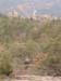 GresAnnot_Photo064