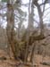 GresAnnot_Photo066