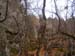 GresAnnot_Photo068