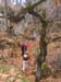 GresAnnot_Photo069